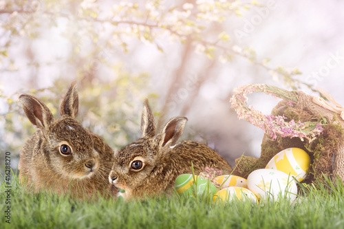 Easter, two Easter bunnies sit next to an Easter basket photo