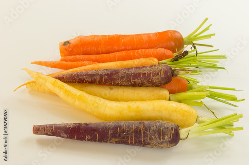 bunch of differently coloured heritage carrots, root vegetables
