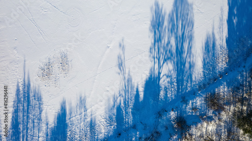 Top drone view of blue shadows of trees on white snow.