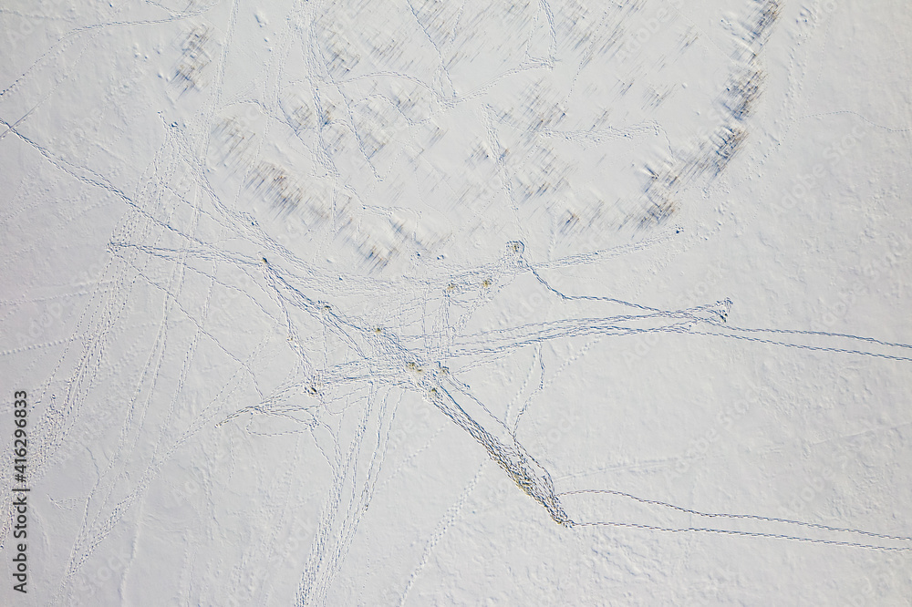 Obraz premium View from above of footprints and blue shadows on white snow