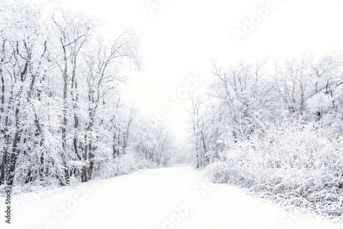 Snowy road in winter forest © Vastram