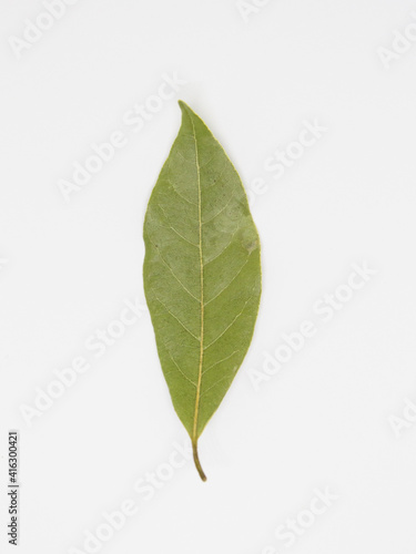 Bay leaf. Seasoning for food. Delicious food additives.