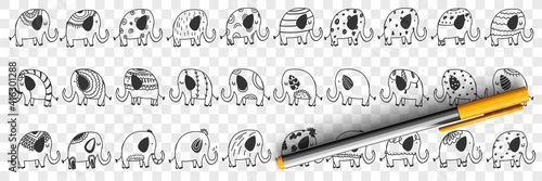 Photography Various elephants animals doodle set