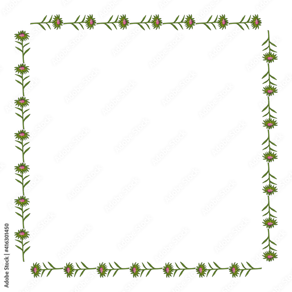 Square frame with pink aster buds on white background. Doodle style. Vector image.