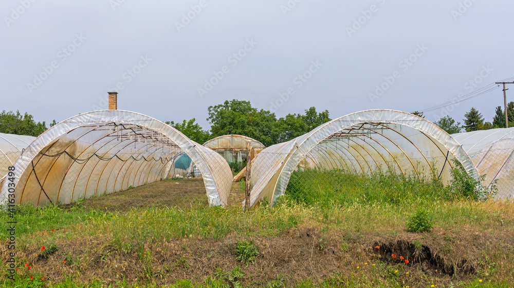 Plastic Green House Farm