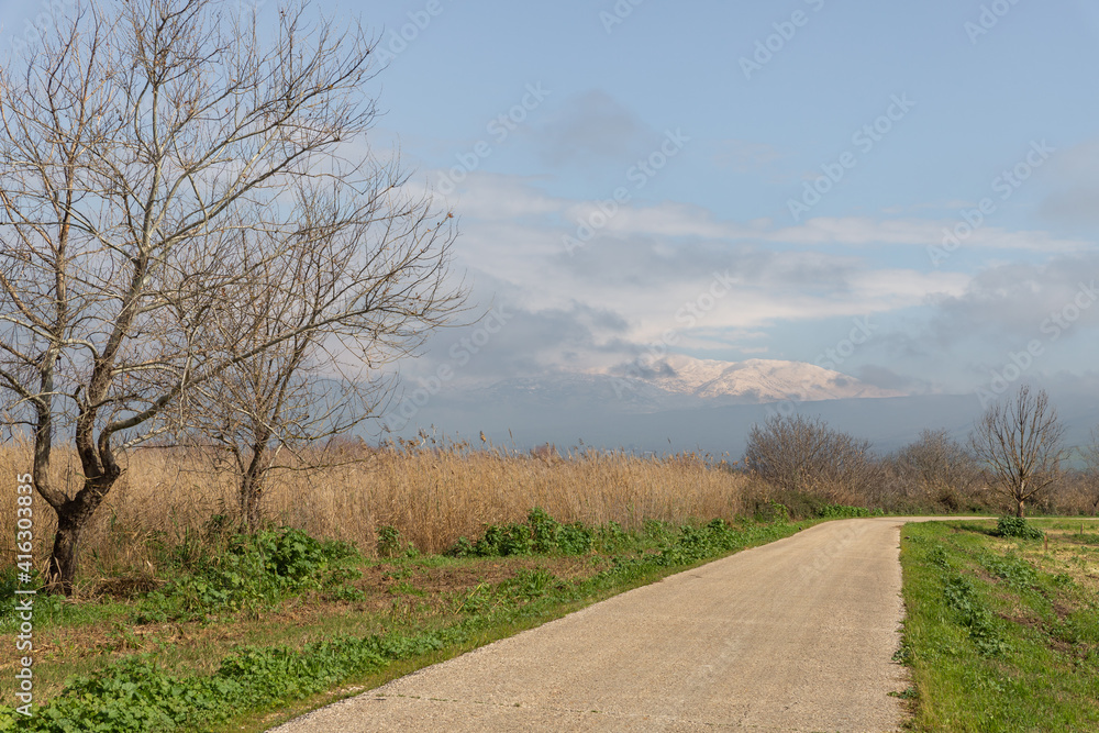 Fototapeta premium Early morning at Lake Hula Nature Reserve with the snow-capped peak of Mount Hermon in northern Israel in the background.