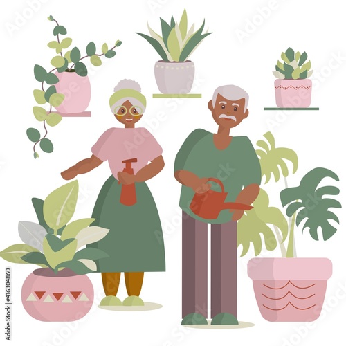African american Senior couple watering houseplants Vector cartoon illustration