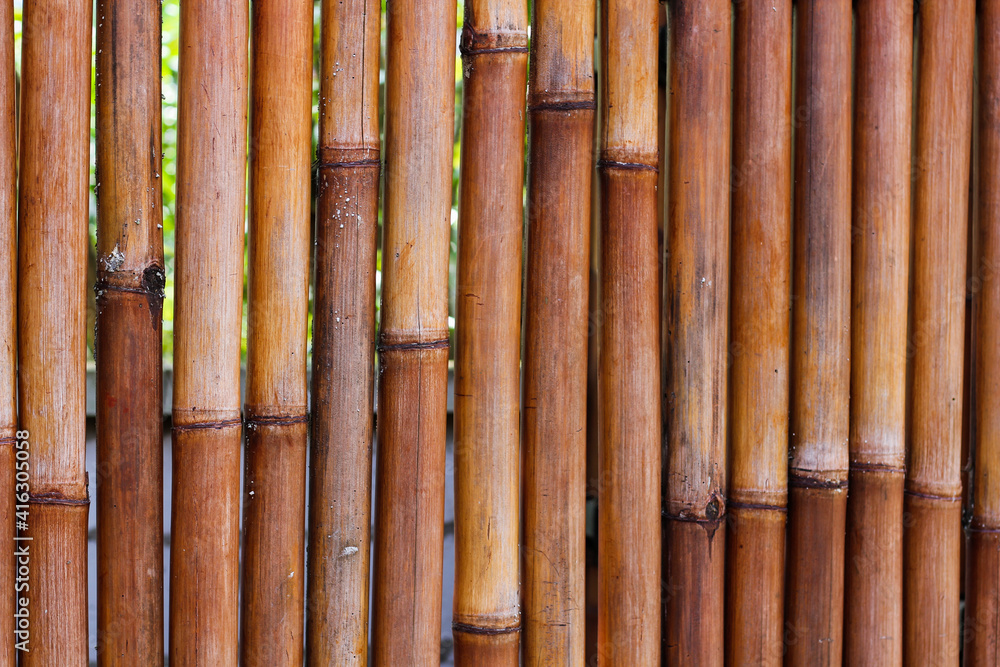 bamboo bamboo