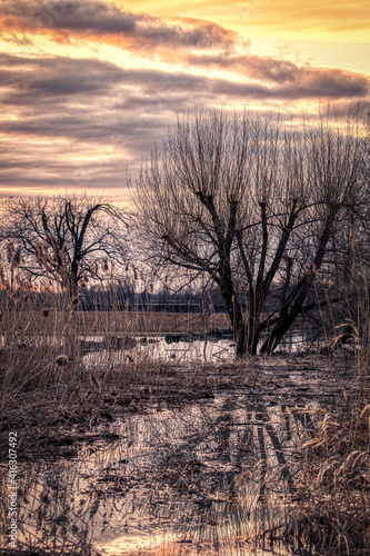 Le printemps en marais