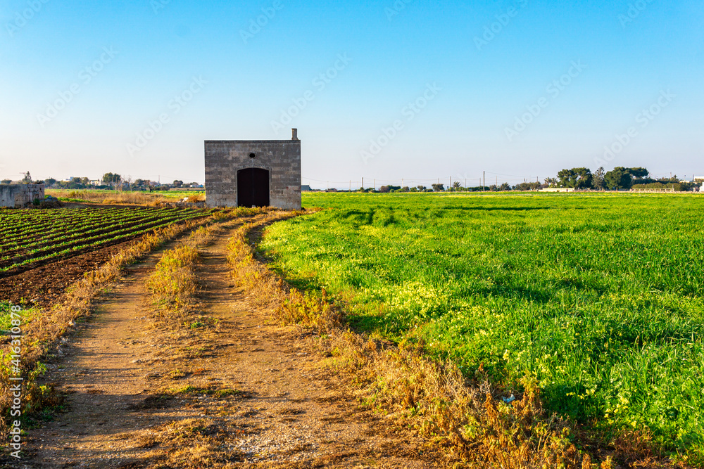 Panoramic view of a cultivated field of vegetables with an old abandoned farmhouse in Monopoli (Bari - Apulia) - Typical spring landscape in southern Italy (Puglia).