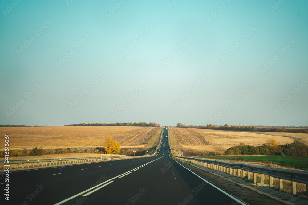 Fototapeta premium long asphalt road, track among ripe yellow wheat fields