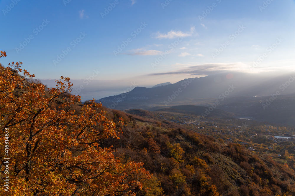 Golden autumn leaves of a tree on a background of blue sky in the mountains