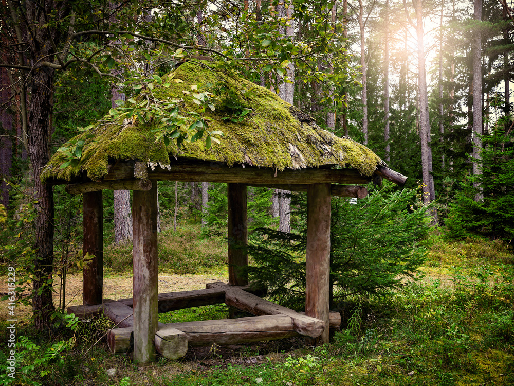 Wooden simple shelter in woods with moss-covered roof.... Wooden simple shelter in woods with moss-covered roof....