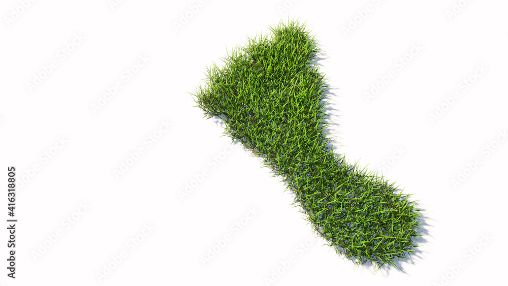 Concept or conceptual green summer lawn grass symbol shape isolated white background, sign of a barefoot. 3d illustration metaphor for nature, health, environment, carbon footprint and climate change Concept or conceptual green summer lawn grass symbol shape isolated white background, sign of a barefoot. 3d illustration metaphor for nature, health, environment, carbon footprint and climate change