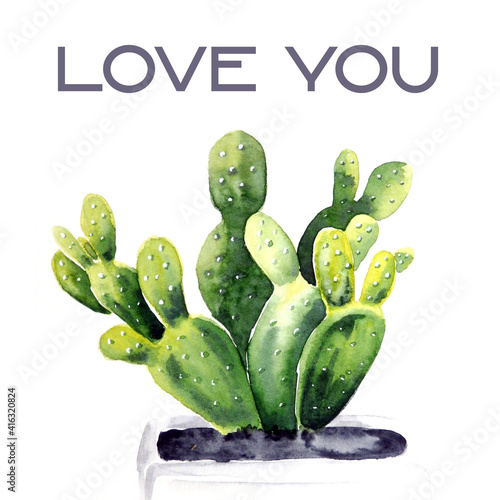 Watercolor illustration of the cactus 