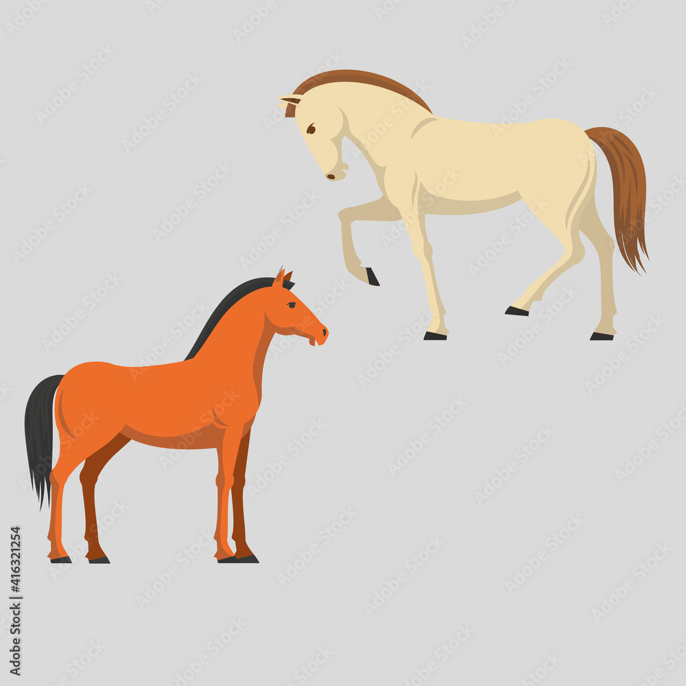 Fototapeta premium horse