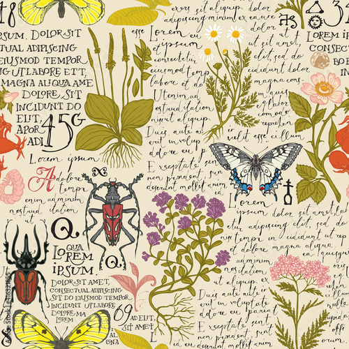 Vector seamless pattern with medicinal herbs, insects and handwritten text Lorem Ipsum. Hand-drawn plants, beetles, butterflies on a light background. Suitable for wallpaper, wrapping paper, fabric