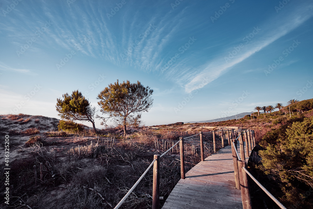 Wooden pedestrian walkway through Sintra-Cascais natural park. Wild sandy landscape, with part of Cresmina Dunes. Beautiful scenery in Portugal.