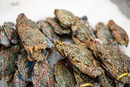 crab
