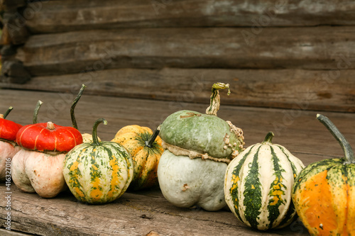 A variety of winter squash lined up in a row