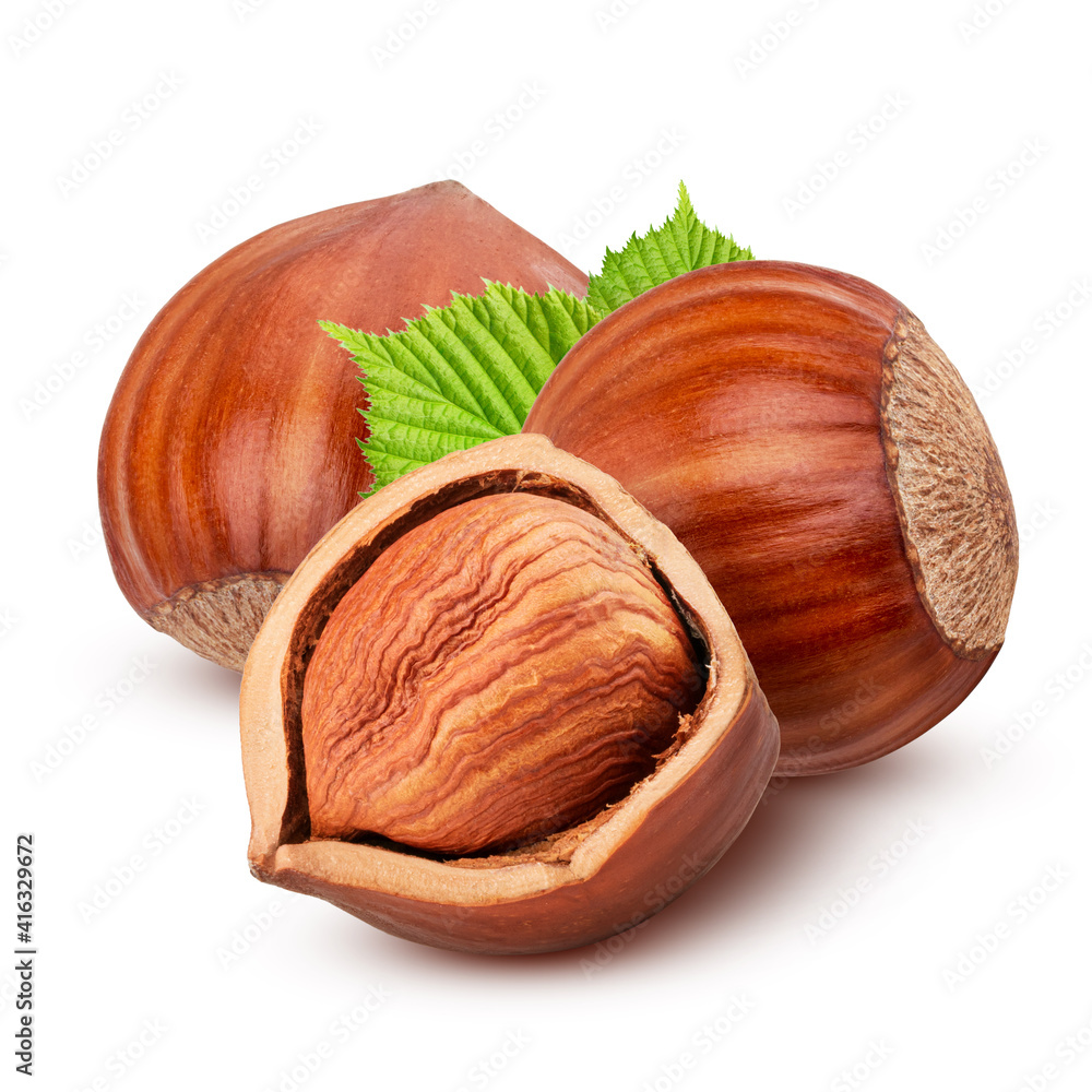 Hazelnuts with leaves isolated on white background Hazelnuts with leaves isolated on white background