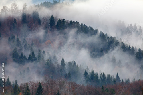 Fototapeta Naklejka Na Ścianę i Meble -  fog in the forest in the mountains, Bieszczady