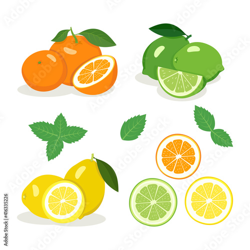 Citrus fruits set. Bright yellow lemon, green lime and orange orange with halves and wedges