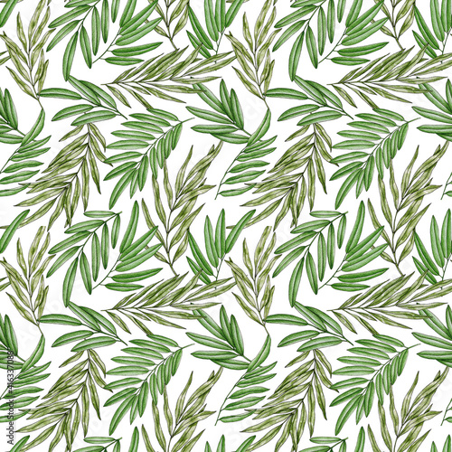 Fototapeta Naklejka Na Ścianę i Meble -  Seamless pattern with green leaves on white background