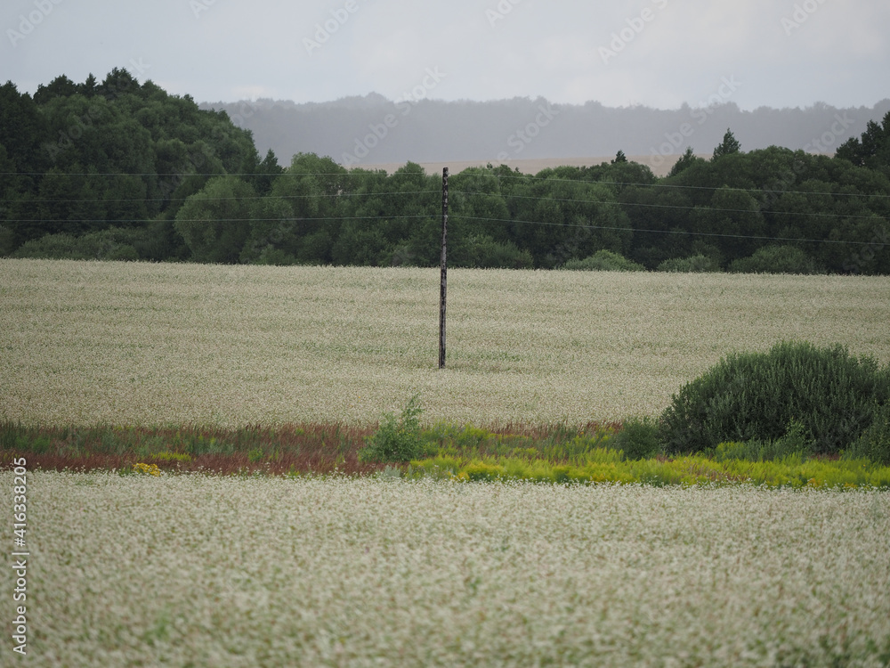 field in the village