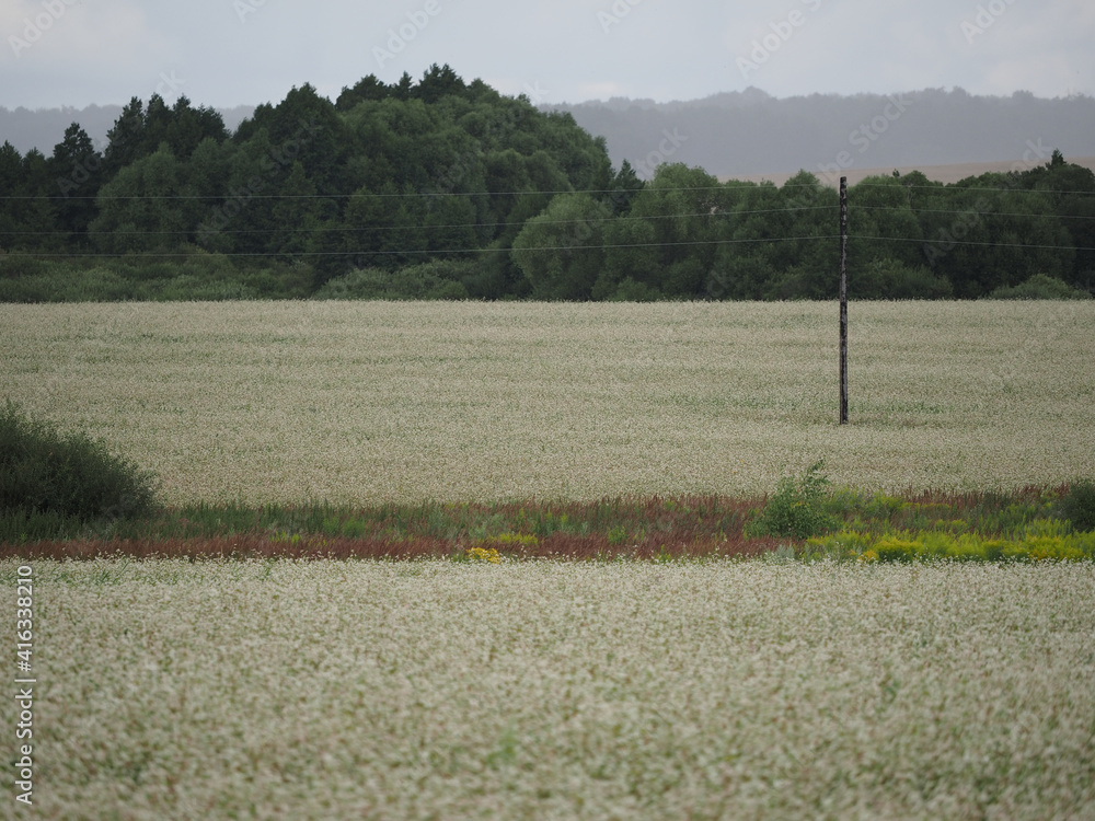 field in the village