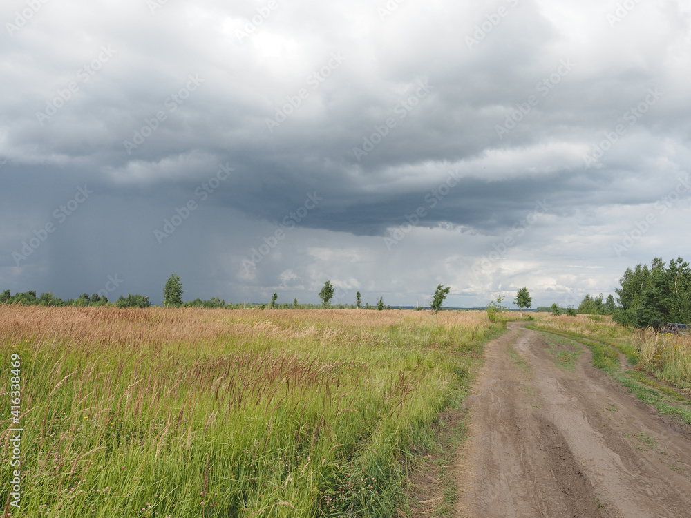 Fototapeta premium road in the field
