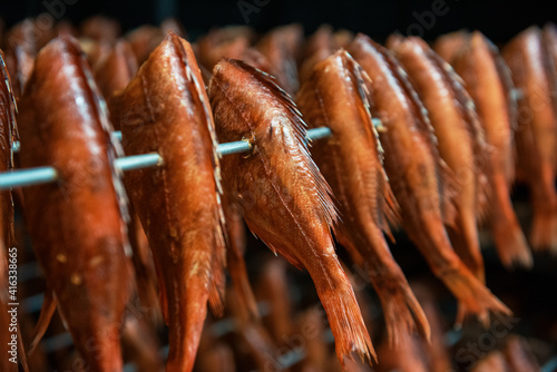 Smoked fish production conc...