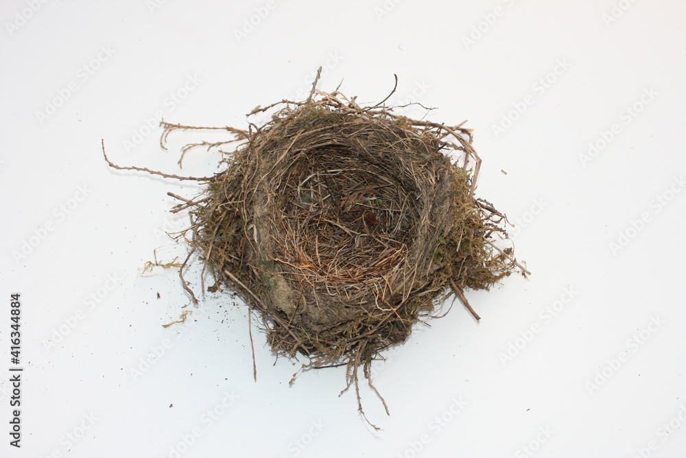 Obraz premium Vogelnest leer.