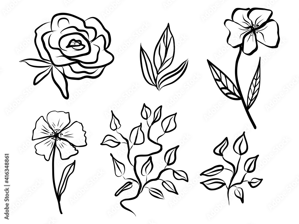 Set of abstract flower and leaves. Hand drawn line-art. Contour black drawing, botanical element. Vector illustration isolate on white background. Set of abstract flower and leaves. Hand drawn line-art. Contour black drawing, botanical element. Vector illustration isolate on white background.