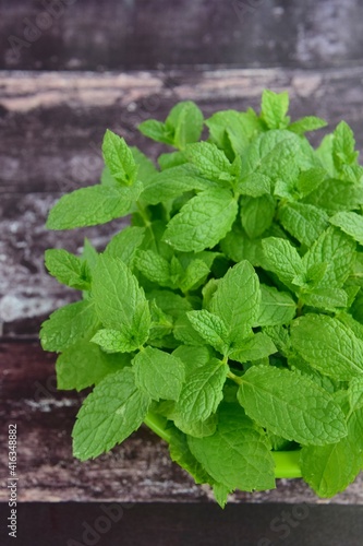 mint leaves on wooden surface. 