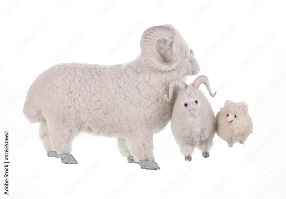 Fototapeta premium fluffy ram toy isolated on white background