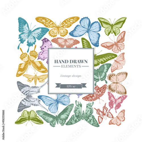 Square design with pastel great orange-tip, emerald swallowtail, jungle queens, plain tiger, rajah brooke s birdwing, papilio torquatus, swallowtail butterfly