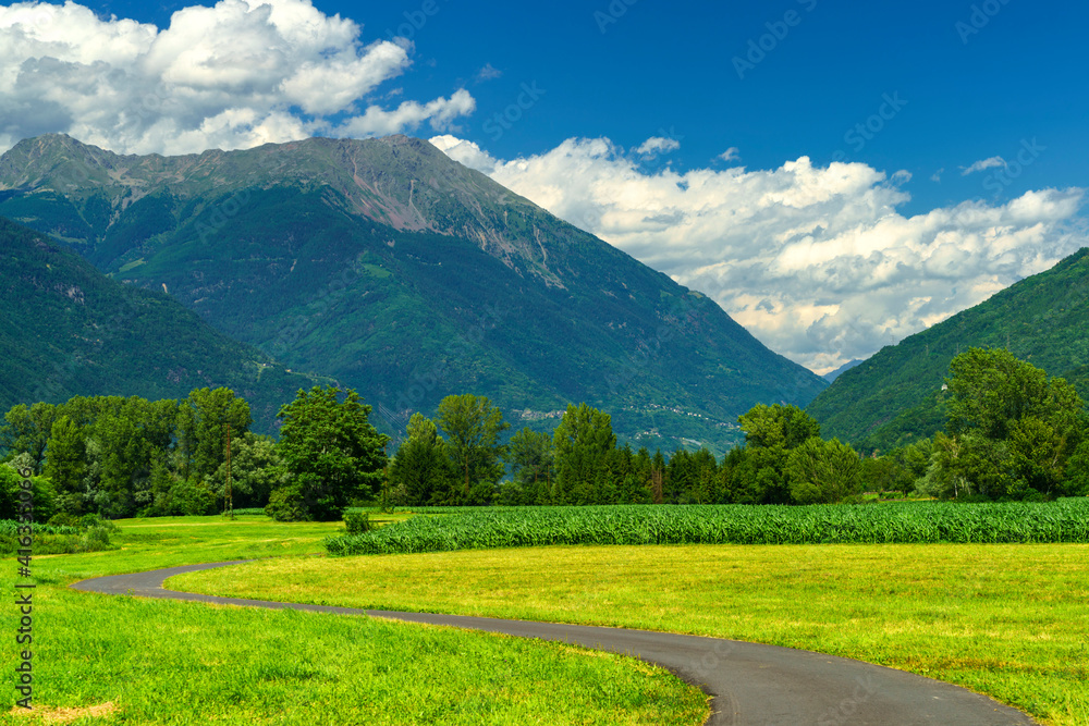 Summer landscape along the Sentiero della Valtellina, cycleway