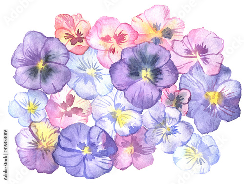 Wallpaper Mural Watercolor illustration with hand-painted pansies. Isolated on white. Torontodigital.ca