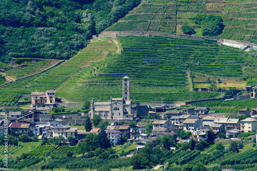 Mountain landscape at summer along the road of Aprica pass. Vineyards