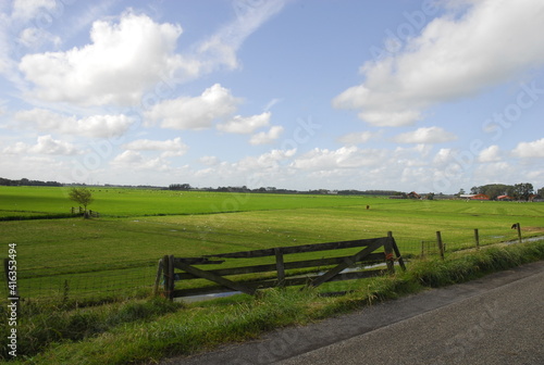 landscape with fence and sky