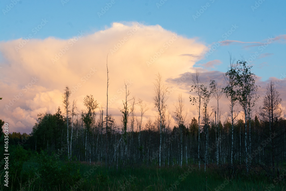  Incredibly beautiful, colorful sunset in the evening sky