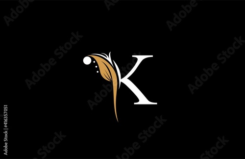 Letter K Font Linked Beauty Filigree Logogram