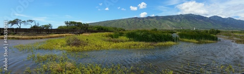 Maui trail