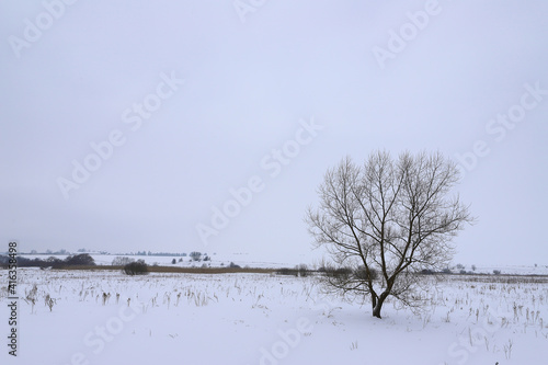 Wallpaper Mural Lonely winter tree
lonely tree in a frozen winter landscape Torontodigital.ca