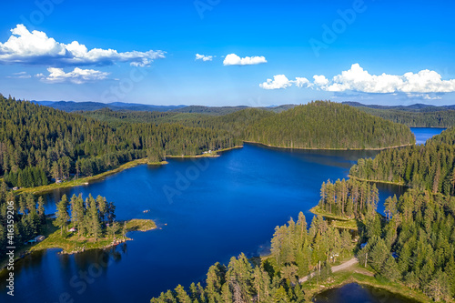 Amazing aerial view from drone of a beautiful panorama of blue water and green forest.