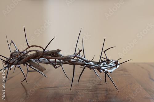 profile of crown of thorns on wood