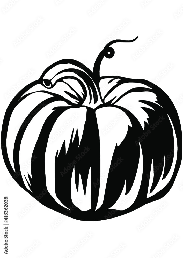 Pumpkin, Halloween, Home Decoration, Fruit, Pumpkin, Halloween, Home Decoration, Fruit,