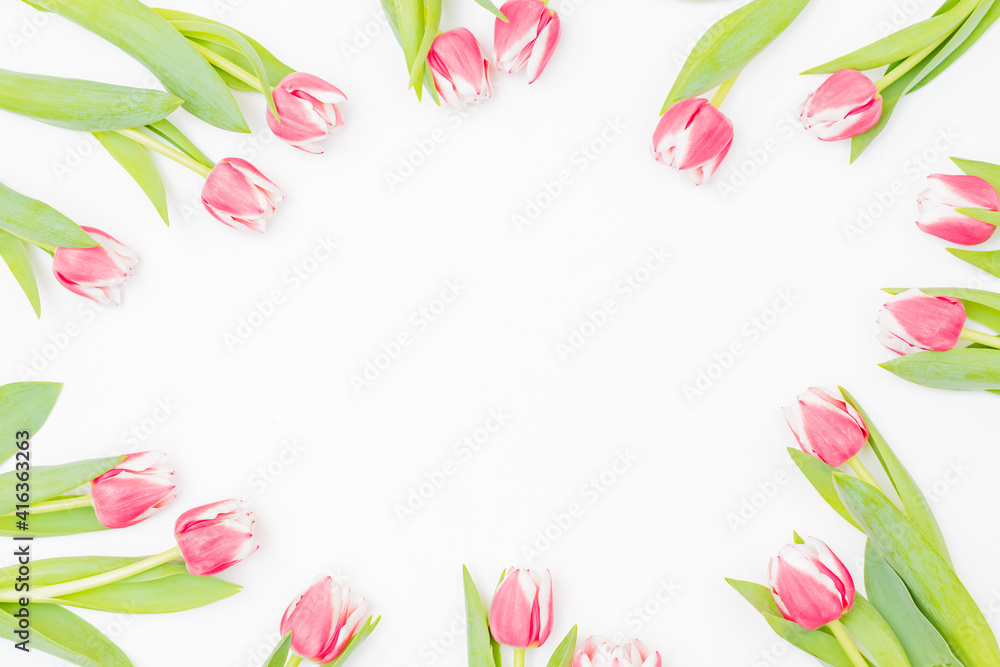 Fototapeta Flat lay composition with pink tulips on white background