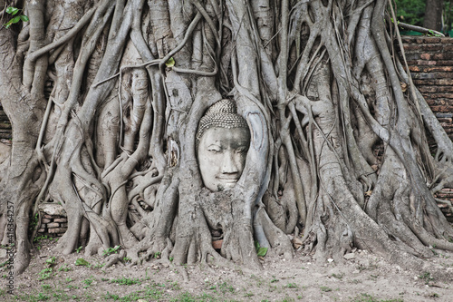 AYUTTHAYA, THAILAND - MAY 25, 2018: Buddha's Head entwined in the roots of a Tree in Wat Mahathat Temple in the Ayutthaya Historical Park in Ayutthaya (second capital of the Siamese Kingdom). 